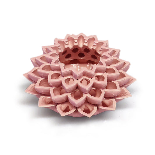 Lotus by Fabian Schmid