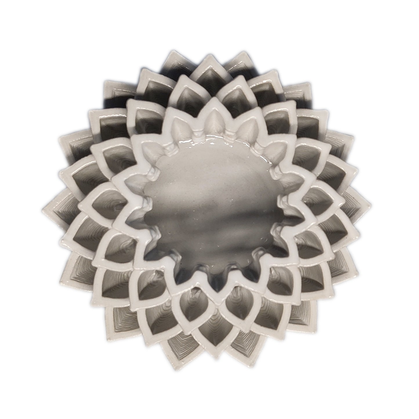 Lotus by Fabian Schmid