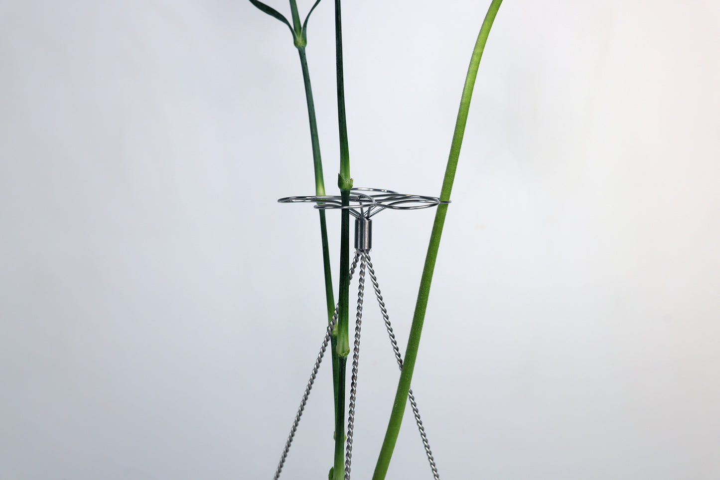 Blumenständer "FLORIAN" by Aaron Bigos