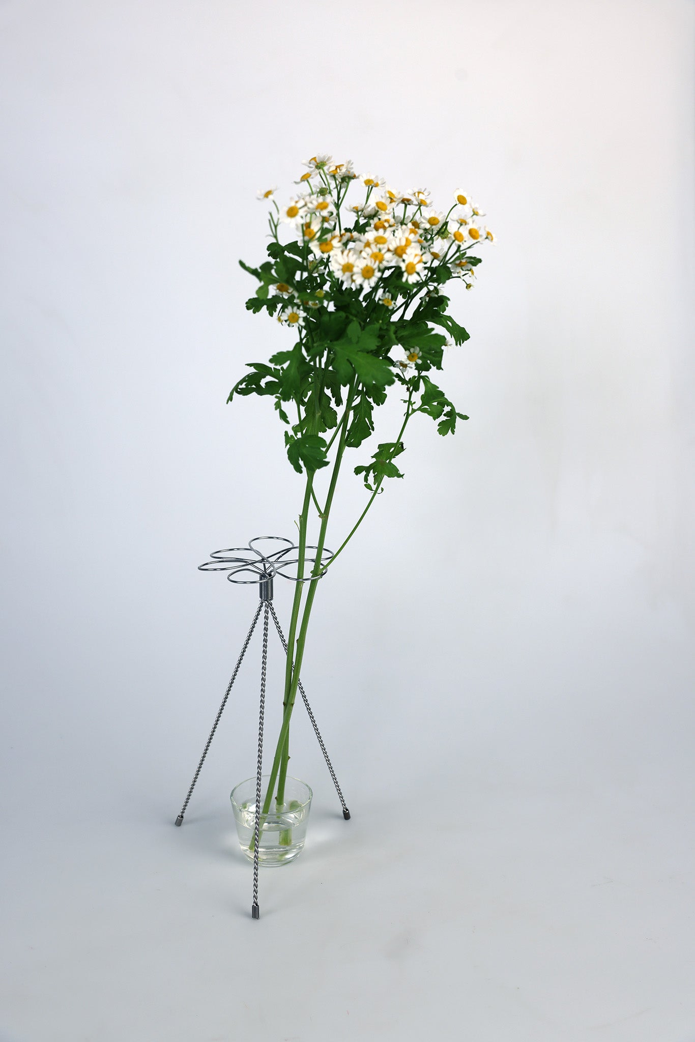 Blumenständer "FLORIAN" by Aaron Bigos