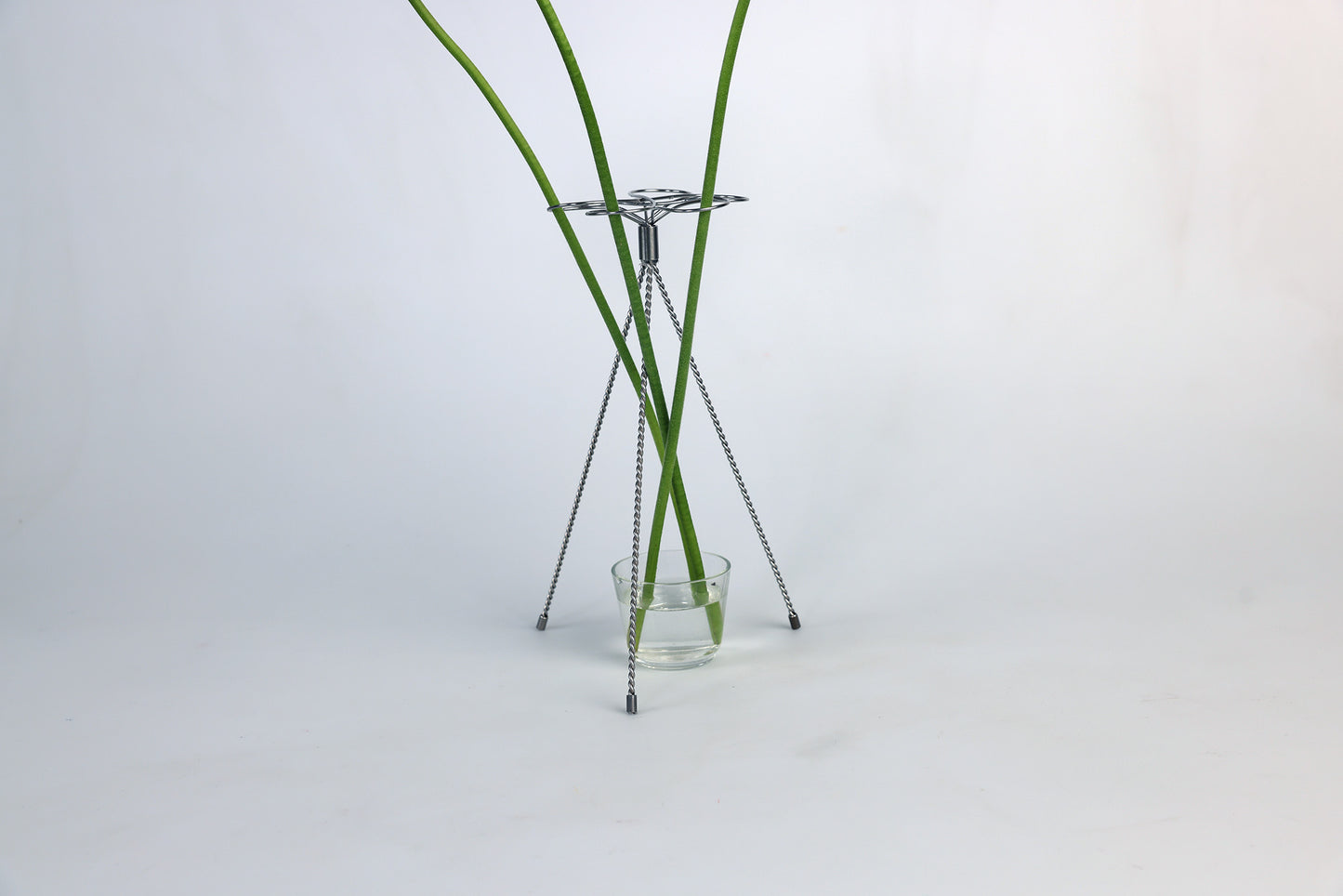 Blumenständer "FLORIAN" by Aaron Bigos