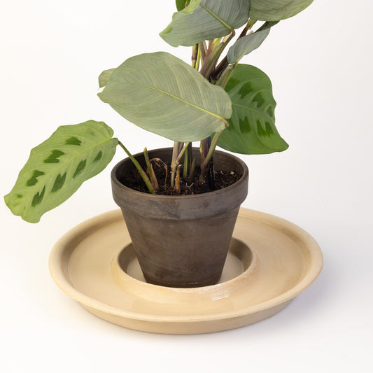 Keramiktränke "FONTUTTI" by Amando Pascotto