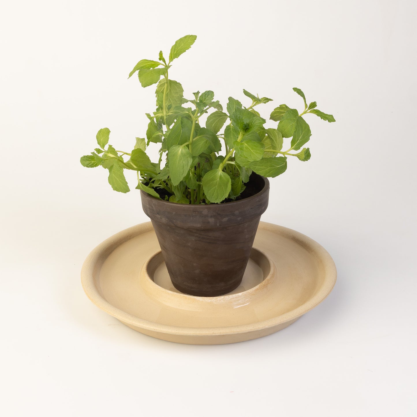 Keramiktränke "FONTUTTI" by Amando Pascotto